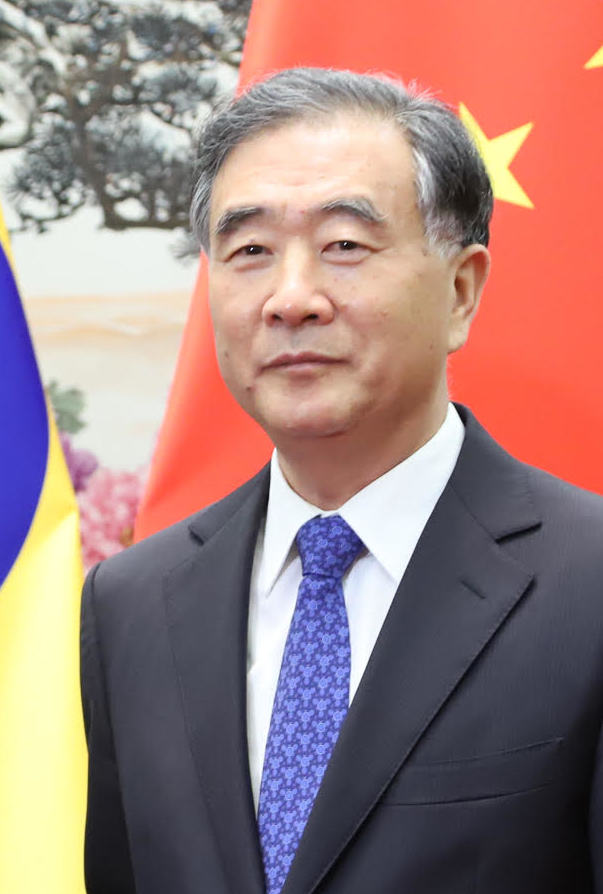 2019 wang yang
